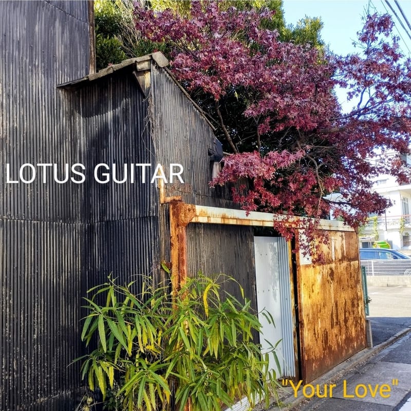 LOTUS GUITAR 